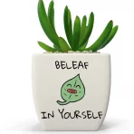 Beleaf planter
